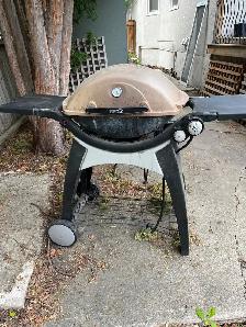 Weber bbq - Photo 3