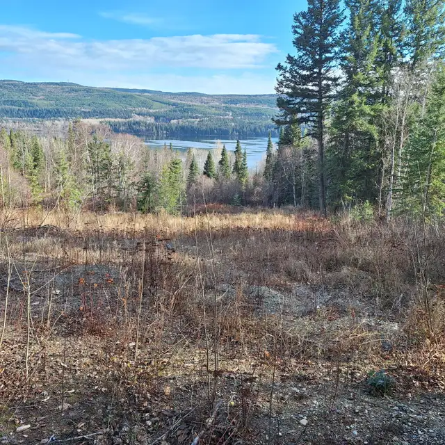 5.17 ACRE LAKE VIEW PROPERTY AT TABOR LAKE, PRINCE GEORGE