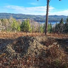 5.17 ACRE LAKE VIEW PROPERTY AT TABOR LAKE, PRINCE GEORGE - Photo 2