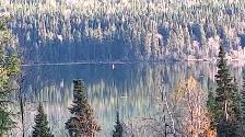 5.17 ACRE LAKE VIEW PROPERTY AT TABOR LAKE, PRINCE GEORGE - Photo 4