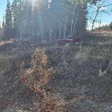 5.17 ACRE LAKE VIEW PROPERTY AT TABOR LAKE, PRINCE GEORGE - Photo 7