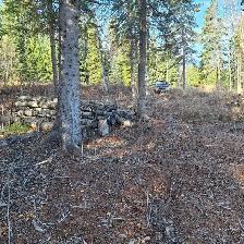 5.17 ACRE LAKE VIEW PROPERTY AT TABOR LAKE, PRINCE GEORGE - Photo 10