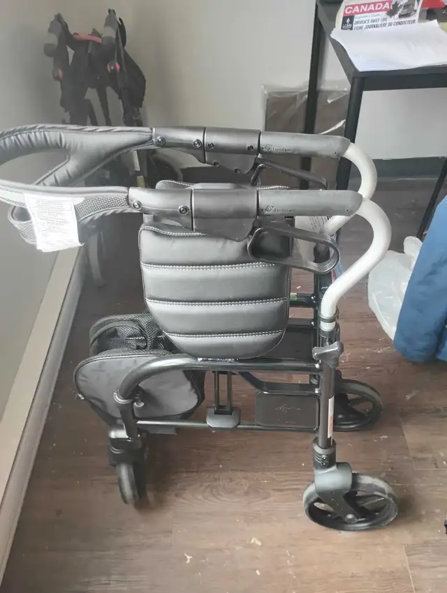 Evolution Walker