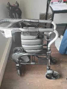 Evolution Walker