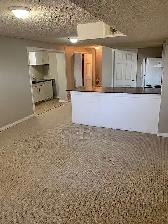 Rosemont A - 2 Bedroom Basement - Photo 4