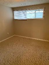 Rosemont A - 2 Bedroom Basement - Photo 6