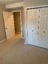 Rosemont A - 2 Bedroom Basement - Photo 7