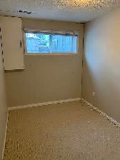 Rosemont A - 2 Bedroom Basement - Photo 8