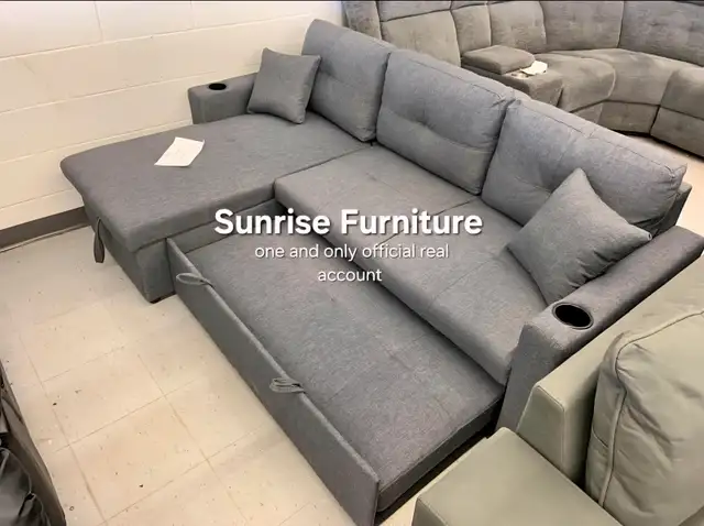 Storage Sleeper Sofa Bed