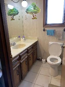 Master Room w Private Bathroom/ Near Whitehorn Ctrain & Airport - Photo 4