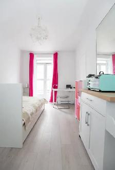 Furnished Studio Downtown w/Balcony - Photo 8