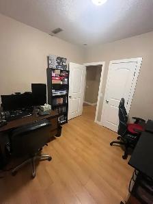 basement for rent - Photo 3