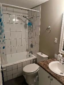 basement for rent - Photo 6