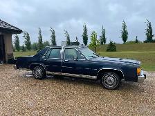 One Owner Estate Sale 1981 Crown Victoria LTD orig 93 km $6600 - Photo 2