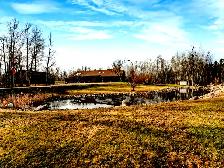 3.21 Acres w/ 37x31 shop with 12ft ceiling. `10 mins from YEG - Photo 6