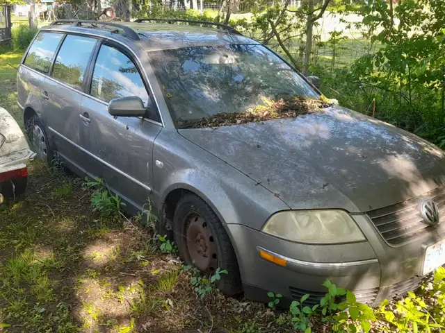 Passat Wagon