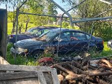 Passat Wagon - Photo 4