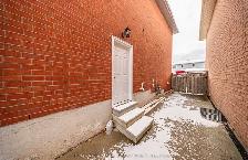 1 1 Bedroom Basement Fully Separate Entrance Available ASAP