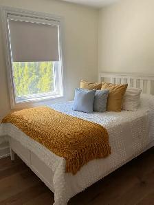 Shutters Roller Shades Blinds Zebra Blinds - Photo 5