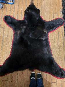 Bear Rug - Photo 2