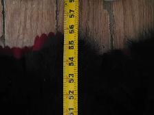 Bear Rug - Photo 3