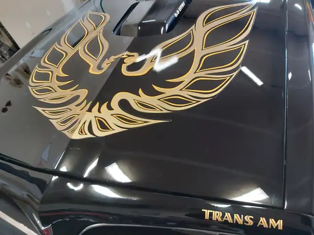 Classic vehicle...classic shine!