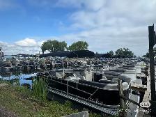 9-Person Fishing Pontoon Boat with BBQ | Toronto’s Best Value - Photo 4