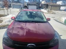 Ford Focus for sale