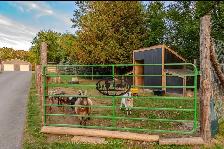 10 acre property w/ workshop - Photo 8