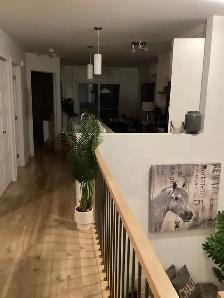 TRÈS GRAND 3 ½ NEUF À LOUER – DISPONIBLE  1ER JUILLET - Photo 5