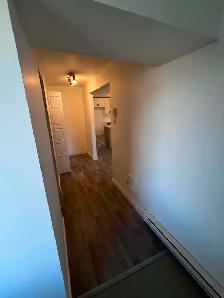 4 ½ à louer entièrement renové – Vieux-Longueuil - Photo 3
