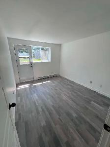 4 ½ à louer entièrement renové – Vieux-Longueuil - Photo 9