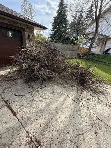 Need Junk Gone in High River? - Photo 3