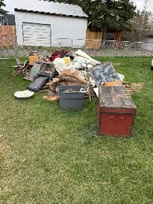 Need Junk Gone in Diamond Valley? - Photo 4