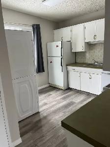 Near Nicholas Shera School UoL 3 bedrooms House Utility Included - Photo 8