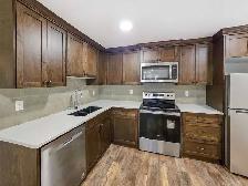 Rental Apartment 2 BDRM 2bath - Photo 5