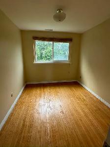 Spacious 4-Bedroom House for Rent – Finch & Hwy 404, North York - Photo 5