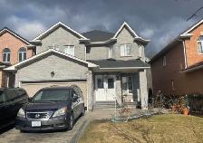 2 Rooms Available in Spacious Walkout Basement – Mississauga