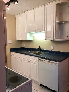 Jasper Ave, 1 Bedroom Condo For Rent, 16 Floor River Valley View - Photo 5