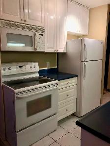 Jasper Ave, 1 Bedroom Condo For Rent, 16 Floor River Valley View - Photo 6