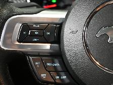 2023 Ford Mustang EcoBoost CarPlay Blind Spot Lane Keeping Syste - Photo 16
