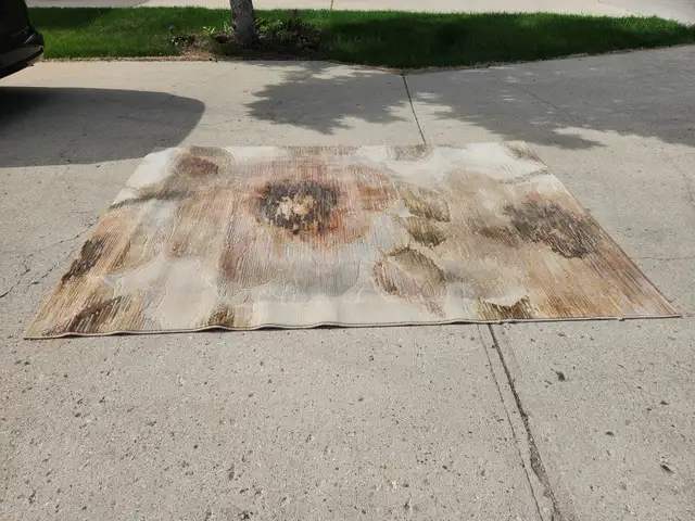Area rug for sale $100