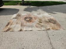 Area rug for sale $100