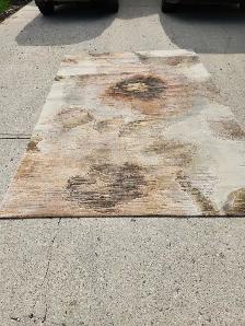 Area rug for sale $100 - Photo 2