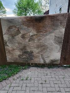 Area rug for sale $100 - Photo 3