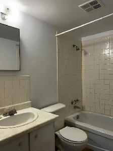Multiple 1 Bed, 1 Bath Units available at 652 Macdonald Ave - Photo 8