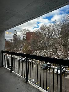 Multiple 1 Bed, 1 Bath Units available at 652 Macdonald Ave - Photo 9