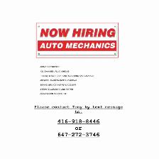 Looking for AUTO MECHANIC!