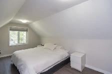 TOTALLY REMODELLED 4 BEDROOM HOME ONLY 299900 - Photo 6