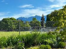 Vacant Lot For Sale, Kaslo, BC - Photo 3